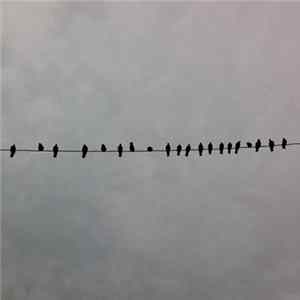 Mike McCready - Music For Film flac