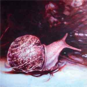 Current 93 - Live At The Teatro Ibérico, Lisbon, Portugal flac