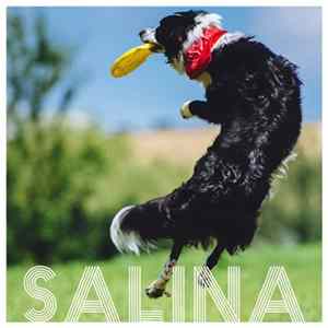 Salina - Demo flac