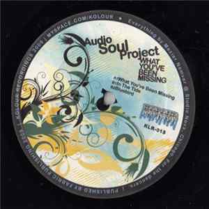 Audio Soul Project - What You've Been Missing flac
