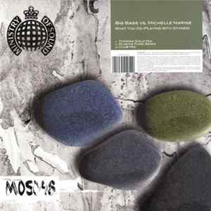 Big Bass vs. Michelle Narine - What You Do (Playing With Stones) flac