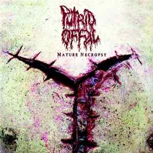 Putrid Offal - Mature Necropsy flac