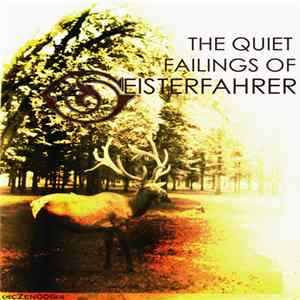 Geisterfahrer - the quiet failings of flac