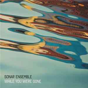 Sonar Ensemble - While You Were Gone flac