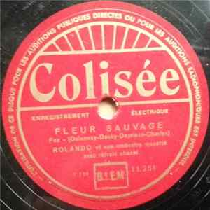 Rolando Et Son Orchestre Musette - Fleur Sauvage / Joyeux Rossignol flac