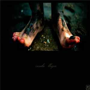 Insula - Llegar flac