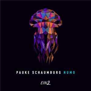 Pauke Schaumburg - Numo flac