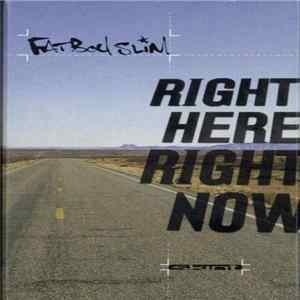 Fatboy Slim - Right Here, Right Now flac