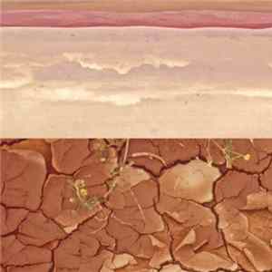 John Most - Patience And Decay flac