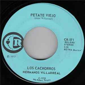Los Cachorros Hermanos Villarreal - Petate Viejo / Tus Disgustos flac