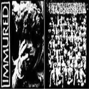 Ulcerrhoea / Immured - Split CD flac