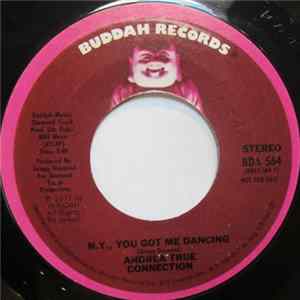 Andrea True Connection - N.Y., You Got Me Dancing flac