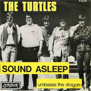 The Turtles - Sound Asleep flac