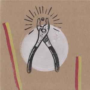 Swans - What Is This? flac