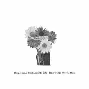 Perspective, A Lovely Hand To Hold - What Not To Do flac