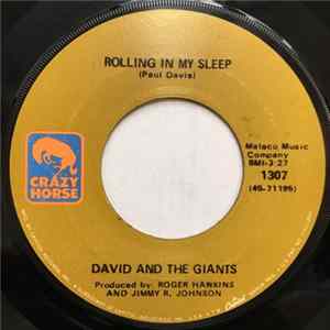 David And The Giants - Rolling in My Sleep flac
