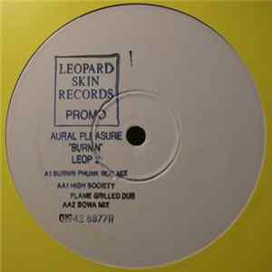 Aural Pleasure - Burnin flac