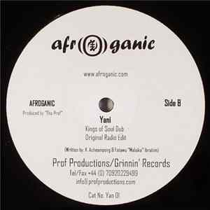 Afroganic - Yani flac