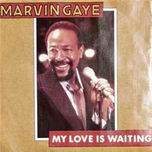Marvin Gaye - My Love Is Waiting flac