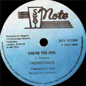 Tremotones - You're The Girl flac