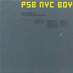 PSB - NYC Boy flac