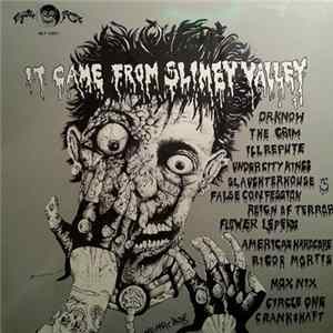 Various - It Came From Slimey Valley flac