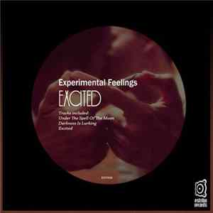 Experimental Feelings - Excited flac
