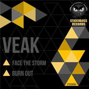 Veak - Face The Storm / Burn Out flac