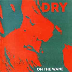 On The Wane - Dry flac