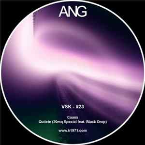 VSK - #23 flac