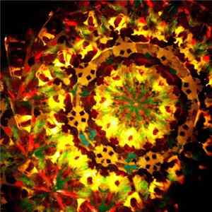 Mythological Eoarchean Cosmonauts - Tidal Sound Waves 2 flac