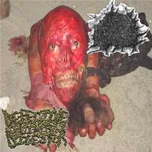 Shotgun Blasted Scrotum Bag / Defective Limb Digestor - Split flac