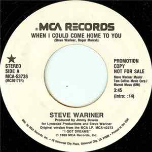 Steve Wariner - When I Could Come Home To You flac