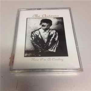 The Auteurs - Now I'm A Cowboy flac
