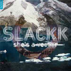 Slackk - She's A Vector flac