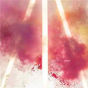 Son Lux - Bones flac