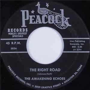 The Awakening Echoes - The Right Road flac