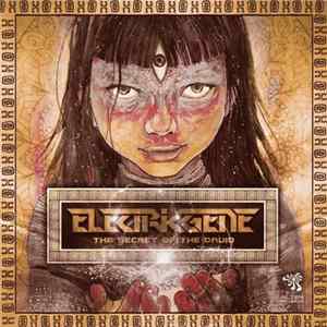 Electric Gene - The Secret Of The Druid flac