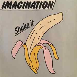 Imagination - Shake It flac