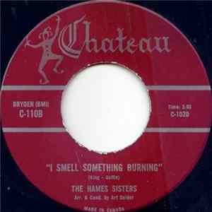 Hames Sisters - One Song / I Smell Something Burning flac