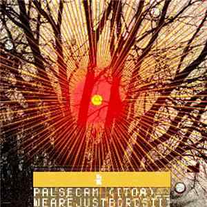 Various - Palsecam - We Are Just Borgs III EP flac