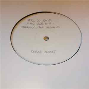 Funkaholics Feat. Nathalie - Feel So Good flac