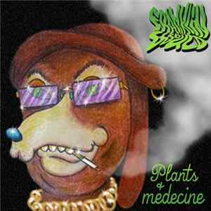 Franklin Would - Plants & Medicine flac