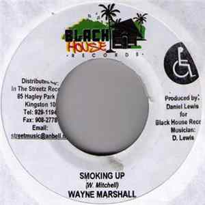 Wayne Marshall / Sanjay - Smoking Up / Hush flac