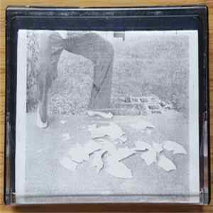 Wingnut Dishwashers Union / Johnny Hobo and The Freight Trains - SMASH THE PLATE! flac