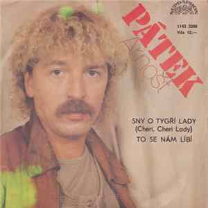 Arnošt Pátek - Sny O Tygří Lady (Cheri, Cheri Lady) / To Se Nám Líbí flac