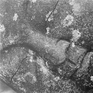 Ruins - Ruins III flac