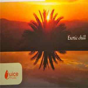 Craig Pruess - Exotic Chill flac