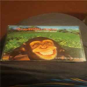The Supernaturals - It Doesn't Matter Anymore flac