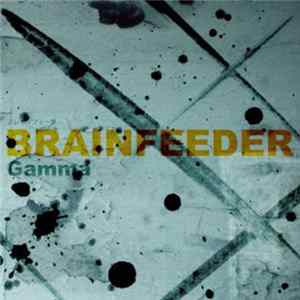 Brainfeeder - Gamma flac
